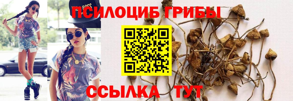 Псилоцибиновые грибы MAGIC MUSHROOMS Коммунар